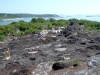 Casco Bay island home custom built by Kennebec Builders